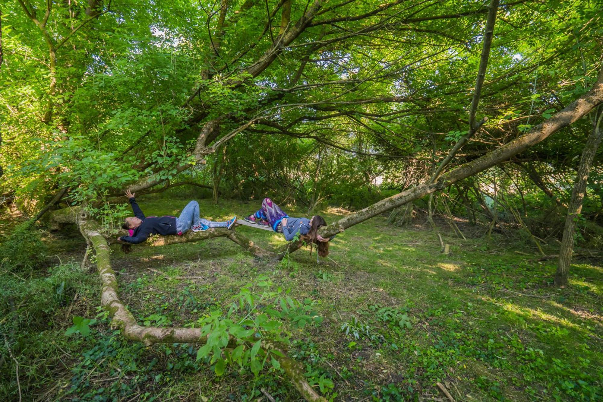 Szellos Ret Camping Balvanyos Ngoại thất bức ảnh